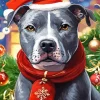 Pit Bull With Santa Hat Diamond Painting