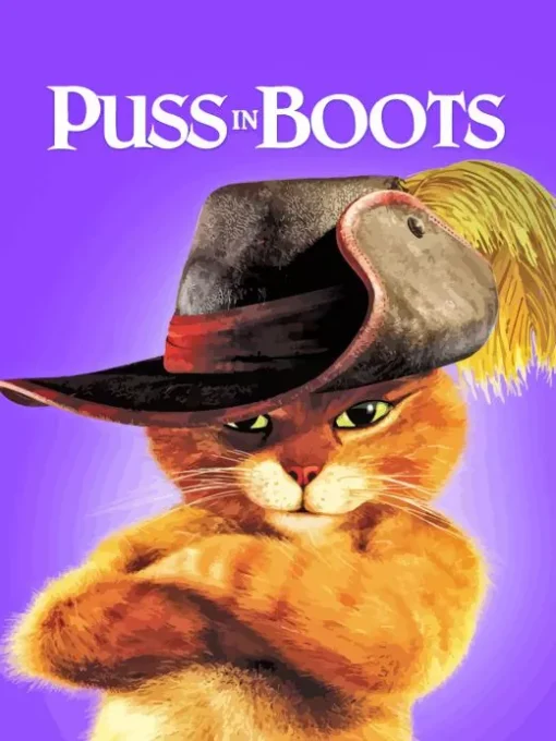 Puss In Boots Character Poster Diamond Painting