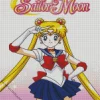 Sailor Moon Anime Poster Diamond Painting