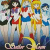 Sailor Moon Characters Poster Diamond Painting