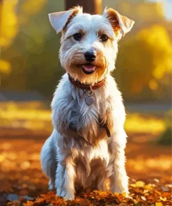 Schnauzer In Autumn Leaves Diamond Painting