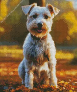 Schnauzer In Autumn Leaves Diamond Painting