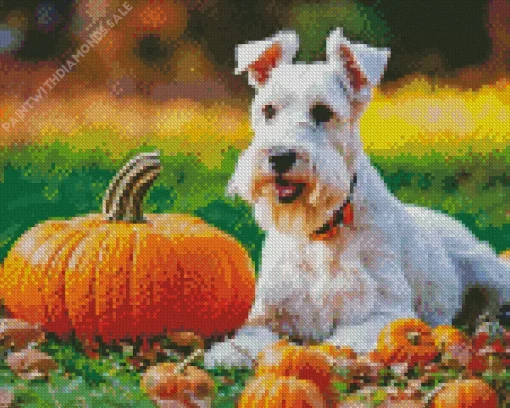 Schnauzer With Pumpkins Diamond Painting