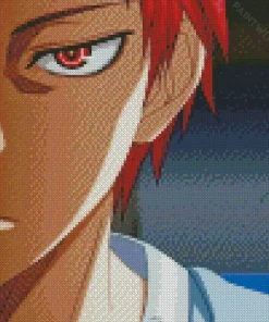 Seijuro Akashi Kurokos Basketball Diamond Painting