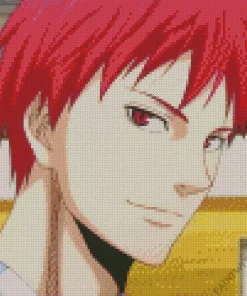 Seijuro Akashi Anime Diamond Painting