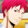 Seijuro Akashi Anime Diamond Painting