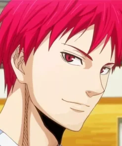 Seijuro Akashi Anime Diamond Painting