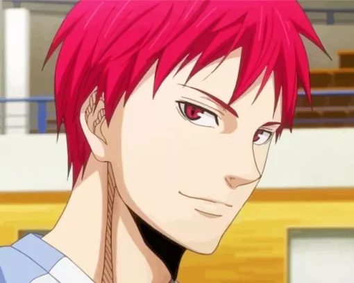 Seijuro Akashi Anime Diamond Painting