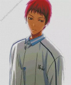 Seijuro Akashi Anime Character Diamond Painting