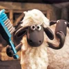 Shaun The Sheep Character Diamond Painting