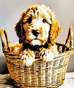 Sheepadoodle In A Basket Diamond Painting