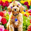 Sheepadoodle With Flowers Diamond Painting