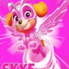 Skye Paw Patrol Art Diamond Painting