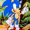 Sonic Cartoon Diamond Painting