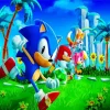 Sonic The Hedgehog Art Diamond Painting