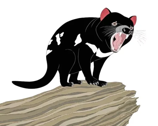 Tasmanian Devil Art Diamond Painting