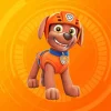 Zuma PAW Patrol Diamond Painting