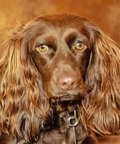 Adorable Boykin Spaniel Diamond Painting