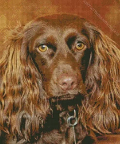 Adorable Boykin Spaniel Diamond Painting