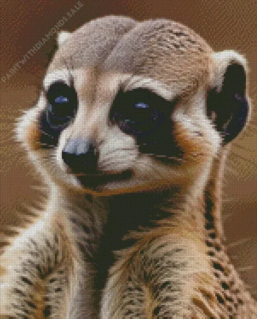 Adorable Meerkat Diamond Painting