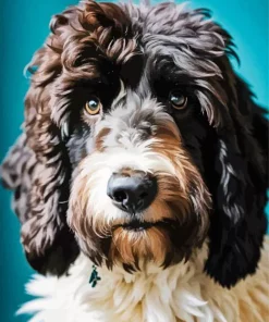 Adorable Sheepadoodle Diamond Painting