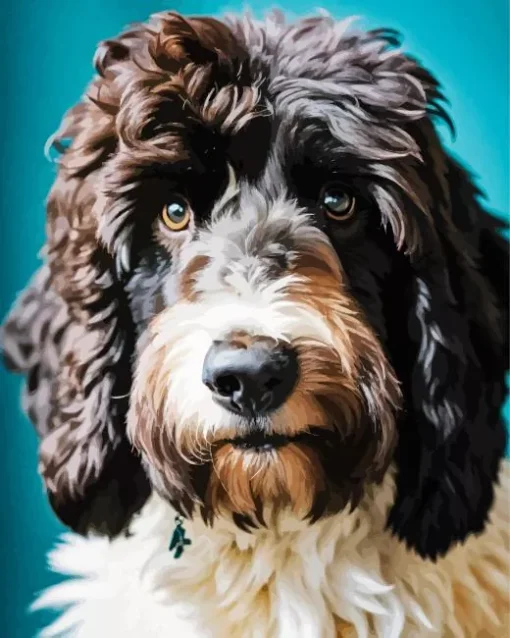 Adorable Sheepadoodle Diamond Painting