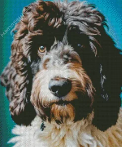 Adorable Sheepadoodle Diamond Painting