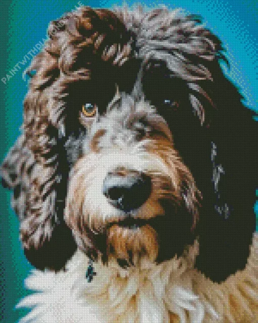 Adorable Sheepadoodle Diamond Painting