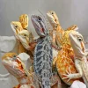 Pogona Bearded Dragon Diamond Painting