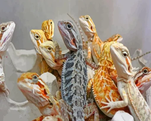 Pogona Bearded Dragon Diamond Painting