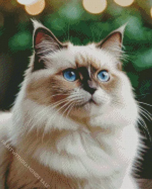 Beige Birman Cat Diamond Painting