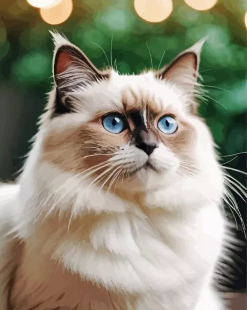 Beige Birman Cat Diamond Painting