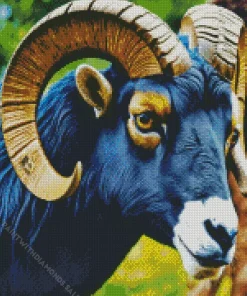 Black Bighorn Sheep Diamond Painting