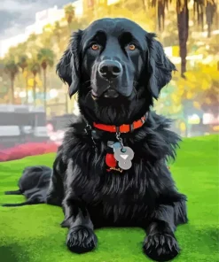 Black Boykin Spaniel Diamond Painting