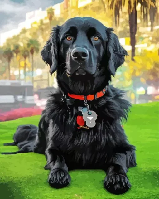 Black Boykin Spaniel Diamond Painting