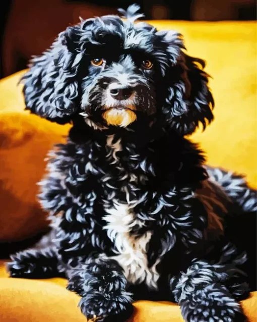 Black Sheepadoodle Diamond Painting