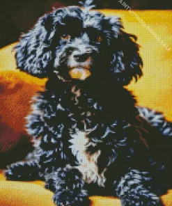 Black Sheepadoodle Diamond Painting