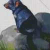 Black Tasmanian Devil Diamond Painting