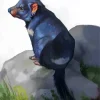 Black Tasmanian Devil Diamond Painting