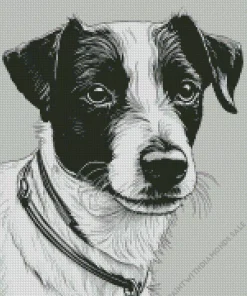 Black And White Jack Russell Diamond Painting