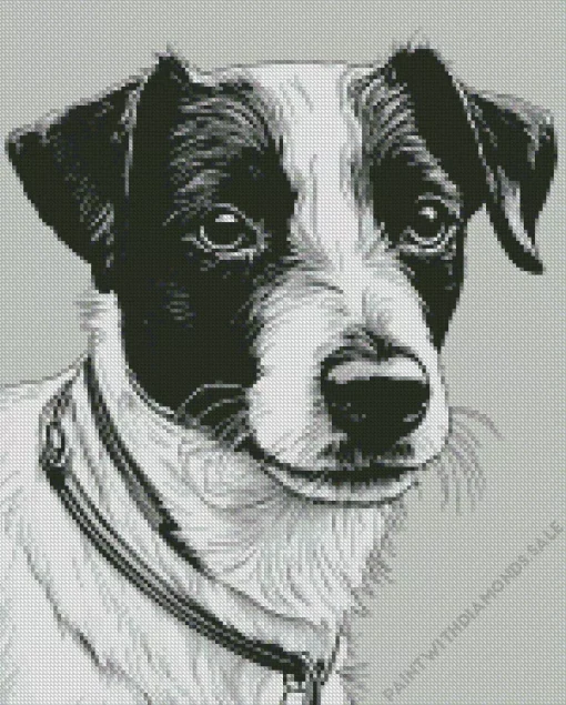 Black And White Jack Russell Diamond Painting