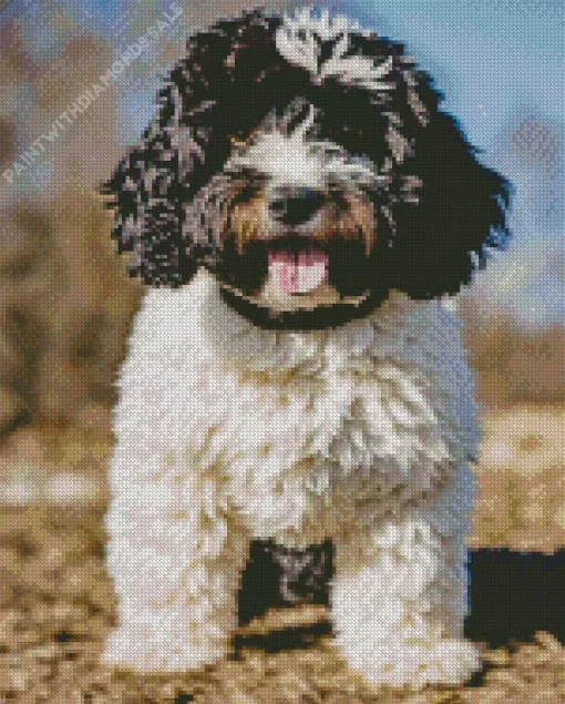 Black And White Sheepadoodle Diamond Painting