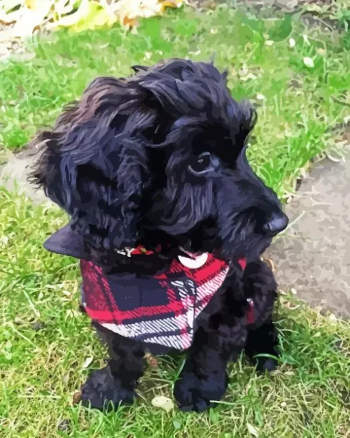 Black Cockapoo Diamond Painting