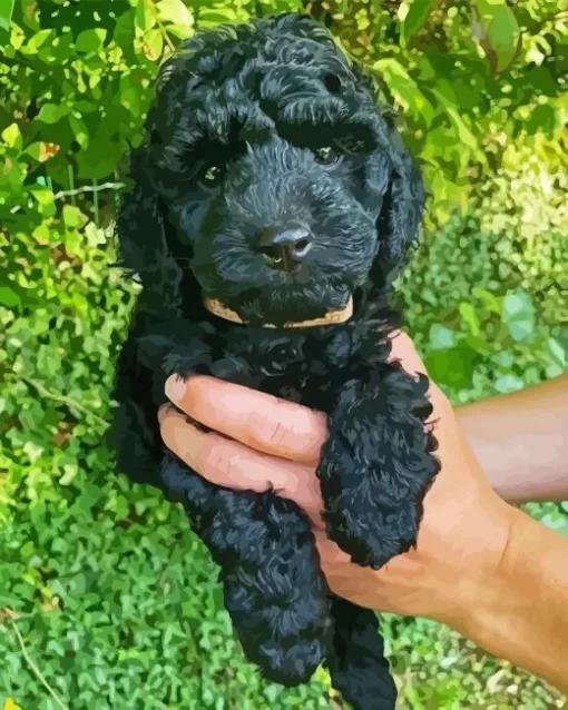 Black Cockapoo Puppy Diamond Painting