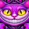 cheshire cat face Diamond By Numbers