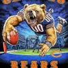 chicago bears poster Diamond By Numbers