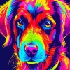 Colorful Boykin Spaniel Diamond Painting