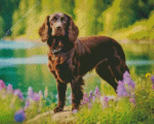 Cute Boykin Spaniel Diamond Painting