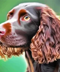 Cute Boykin Spaniel Dog Diamond Painting