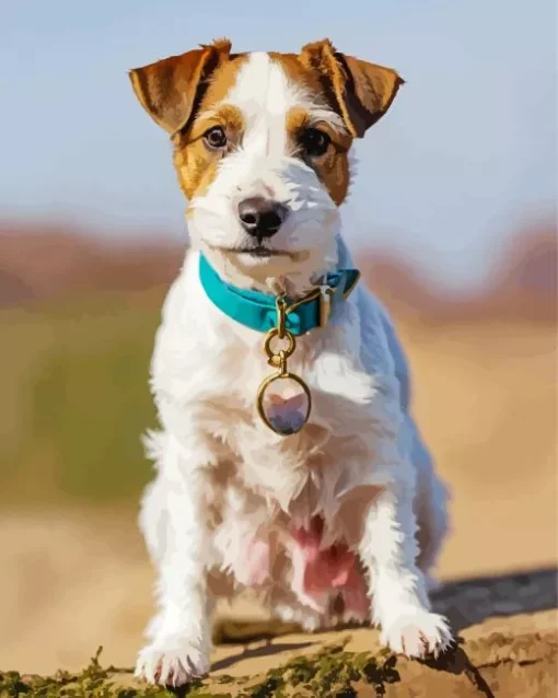 Cute Jack Russell Diamond Painting